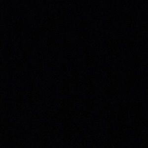 Meet your Posher, Ella